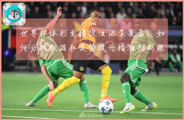 世界杯体彩竞猜投注记录复盘，如何分析数据和走势提升精准判断能力